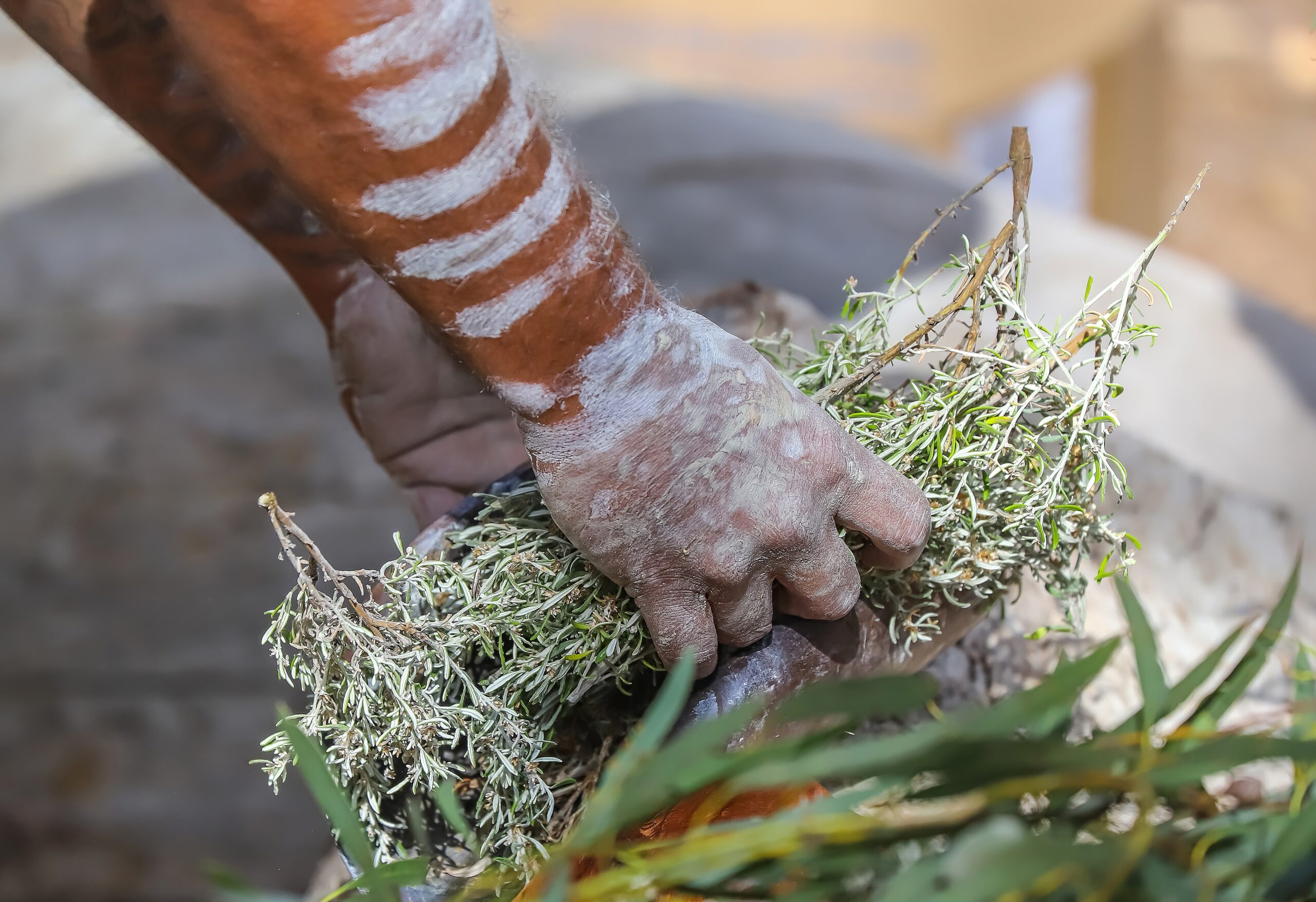 Human,hands,with,green,branches,,wooden,ritual,dish,and,fire,